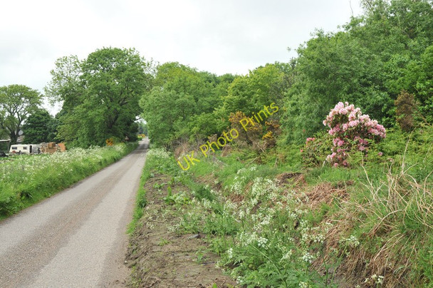Photo 6"x4" Minor road near Lawrenceton Califer c2010