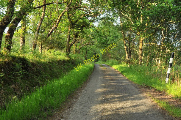 Photo 6"x4" Road from North Shian to Inverfolla North Shian c2010