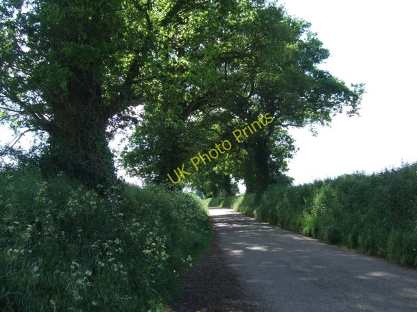 Photo 6"x4" Westcott Lane Rockbeare c2010