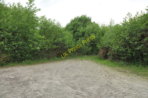 Photo 6"x4" Junction of the forest tracks near Appin Portnacroish c2010