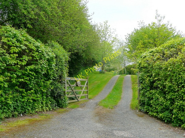 Photo 6"x4" Driveway to Pant Barn Hay-on-Wye\/Y Gelli Gandryll c2010