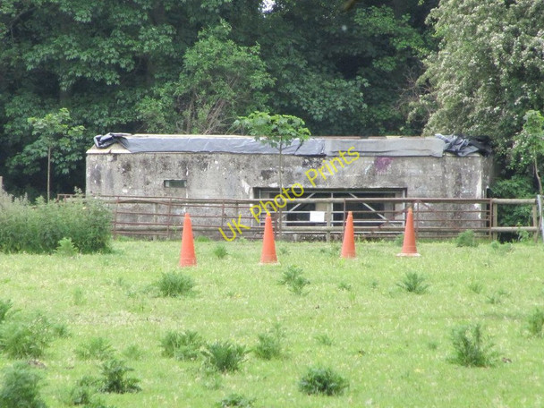 Photo 6"x4" Cones in front Pangbourne c2010