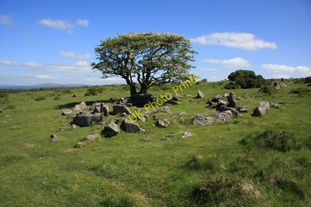 Photo 6"x4" Wigford Down hut circle Hoo Meavy c2010