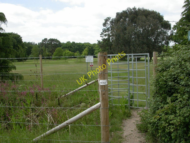 Photo 6"x4" Canford Park, kissing gate Wimborne Minster c2010