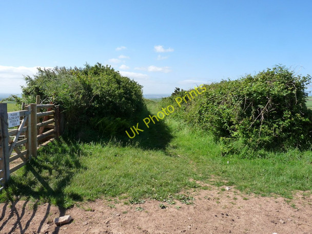 Photo 6"x4" Looking down Pennywell Lane from Hartnoll's Lane Bradwell\/SS4942 c2010