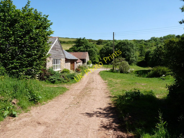 Photo 6"x4" Higher Spreacombe Bradwell\/SS4942 c2010 P1