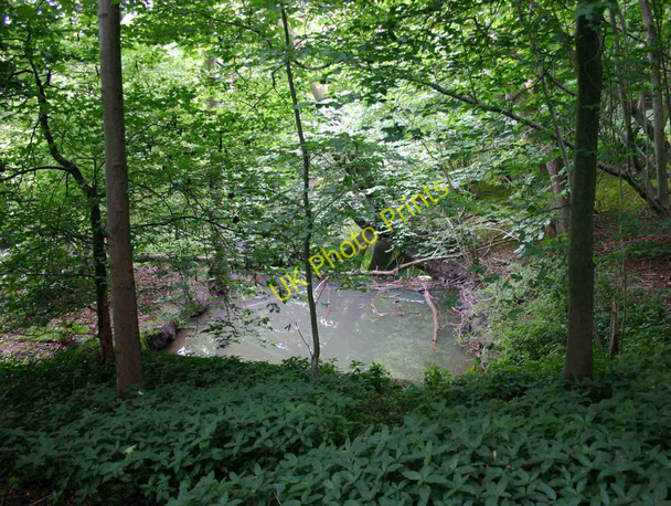 Photo 6"x4" Tach Brook, Warwick Castle Park Warwick c2010