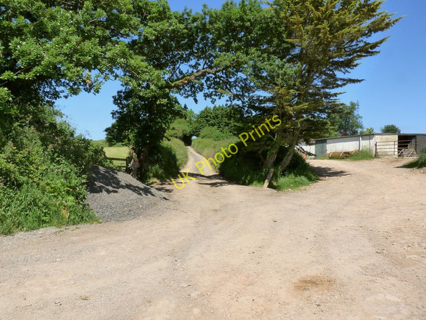 Photo 6"x4" Barton Close Lane adjacent to Barton Close Farm North Buckland c2010