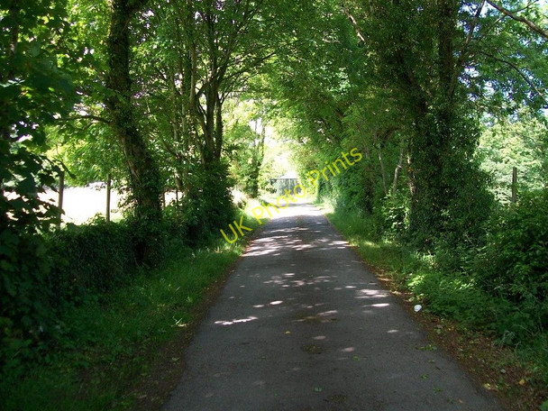 Photo 6"x4" The lower end of the drive to Trefan Hall Criccieth c2010