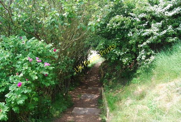 Photo 6"x4" Wolds Way, Horn Dale Filey c2010