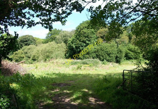 Photo 6"x4" Riverside clearing at Trefan Criccieth c2010