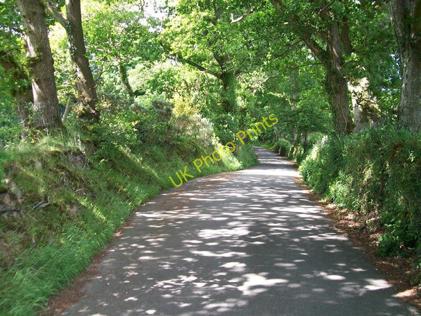Photo 6"x4" Passing point just above the village of Llanystumdwy Llanystumdwy c2010