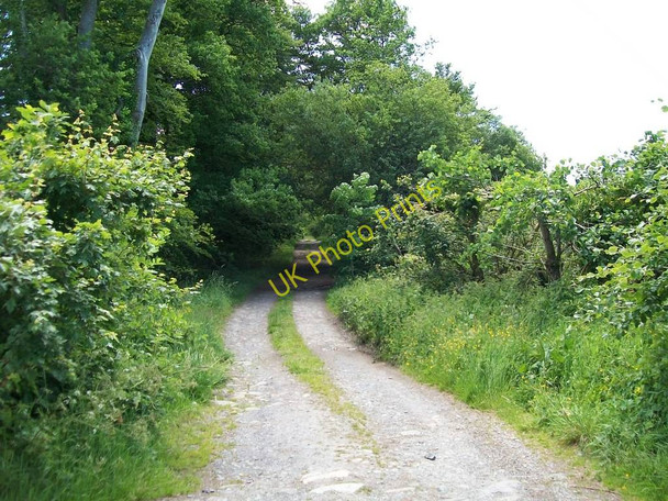 Photo 6"x4" Y Lon Goed south of the Ynys Road Rhosgyll c2010