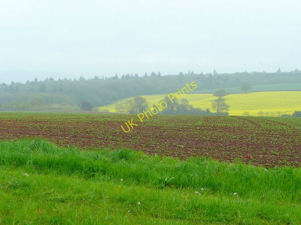 Photo 6"x4" Farmland in springtime Newtown\/SO5333 c2010