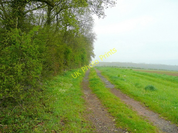 Photo 6"x4" Green Drive Newtown\/SO5333 c2010