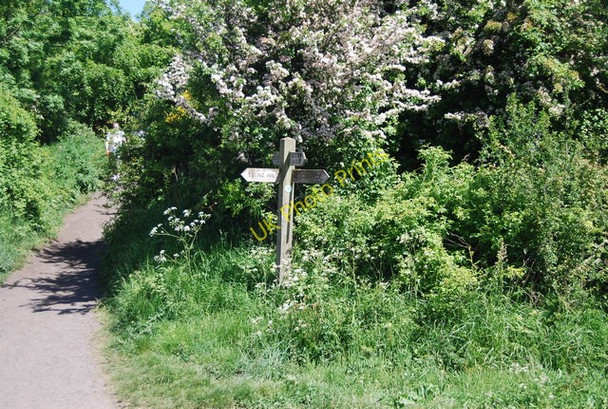 Photo 6"x4" Finger post, Middlewood Lane Fylingthorpe c2010