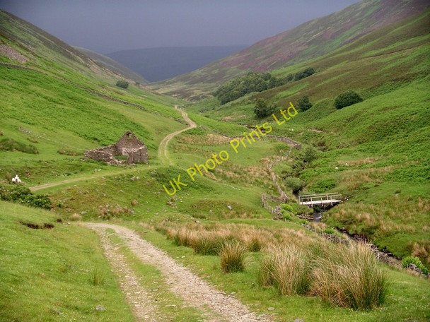 Photo 6"x4" Dryhopehope and the Kirkstead burn Dryhope c2006