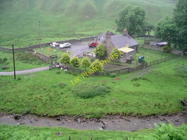 Photo 6"x4" Old Kirkstead Dryhope c2006