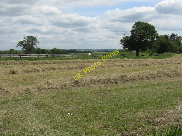 Photo 6"x4" Making Hay Brereton Heath c2010