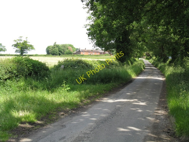 Photo 6"x4" Mill Lane Sandlow Green c2010