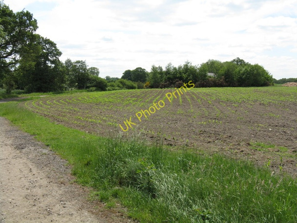 Photo 6"x4" Fields south of Mill Lane Sandlow Green c2010