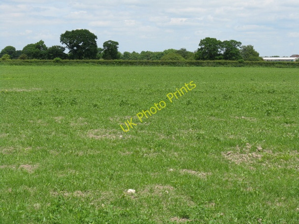 Photo 6"x4" Field adjoining the A54, Sandlow Green Sandlow Green c2010