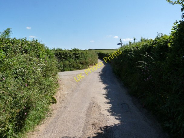 Photo 6"x4" Northfield Road at Cott Cross Darracott\/SS4739 c2010