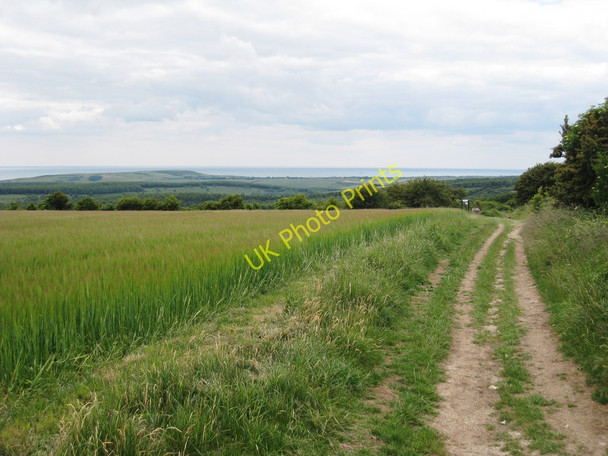 Photo 6"x4" Bridleway on the South Downs Jevington c2010