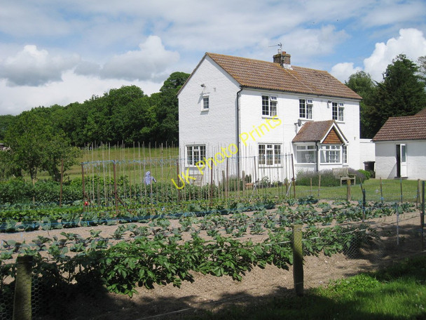 Photo 6"x4" House on Green Lane Jevington c2010