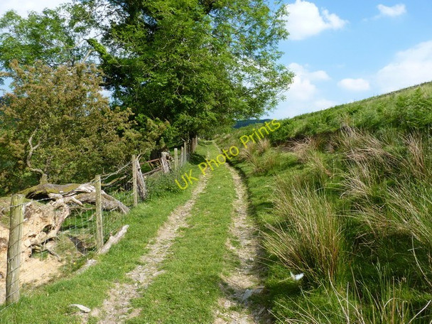 Photo 6"x4" Bridleway above Collfryn Cwm-Cewydd c2010