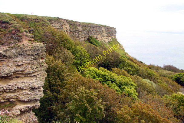 Photo 6"x4" Gore Cliff at Blackgang Blackgang c2010