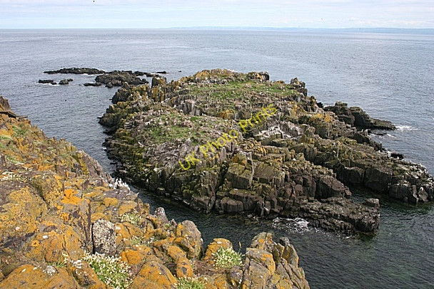 Photo 6"x4" Maiden Rocks Maiden Hair c2010