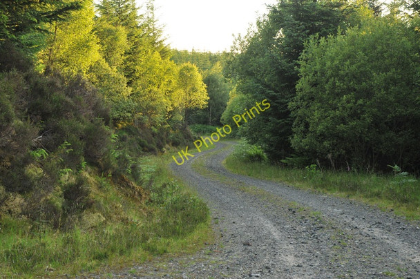 Photo 6"x4" Forestry road in Barcaldine Forest Barcaldine c2010