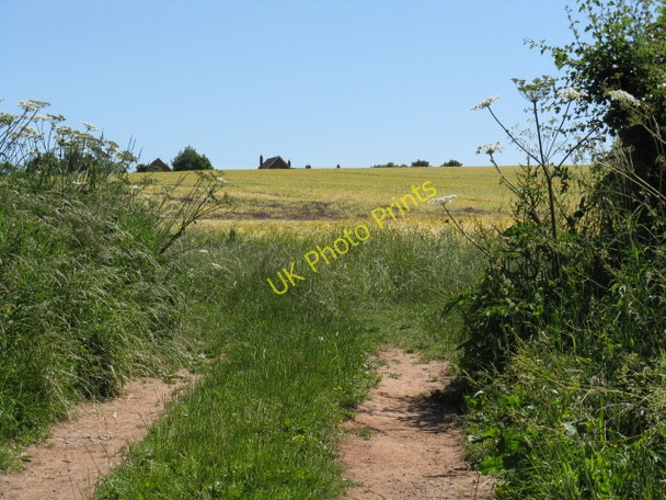 Photo 6"x4" Through a field gate near Brook Farm Boreley c2010