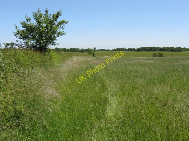 Photo 6"x4" Footpath east from Sneads Green Sneads Green c2010
