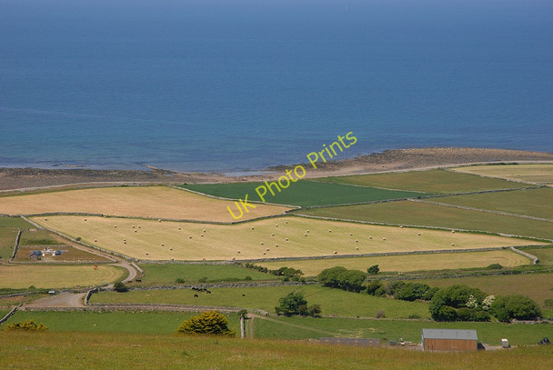 Photo 6"x4" Hay fields by the sea Hendre\/SH5909 c2010