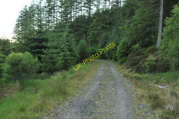 Photo 6"x4" Forestry road in Barcaldine Forest Barcaldine c2010 P1