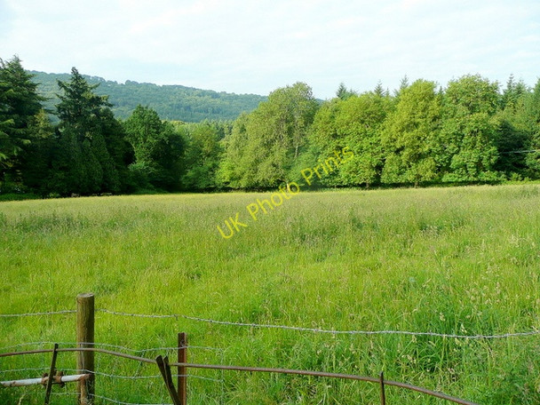 Photo 6"x4" Pasture at The Fence The Fence c2010