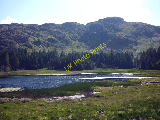 Photo 6"x4" Harrop Tarn Dob Gill c2010