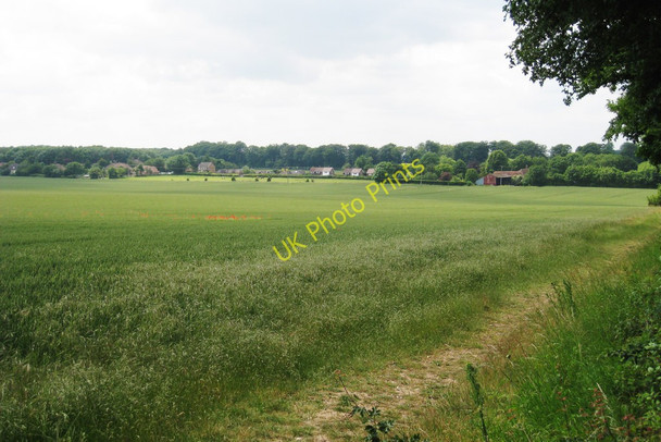 Photo 6"x4" Crop Field off School Lane Lower Hardres c2010