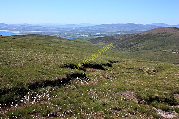 Photo 6"x4" Cotton Grass and Mountainside Caherdaniel c2010
