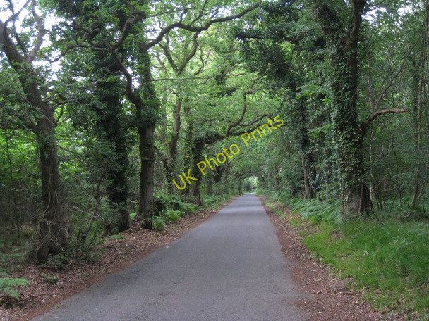 Photo 6"x4" Swanton Lane Bekesbourne Hill c2010