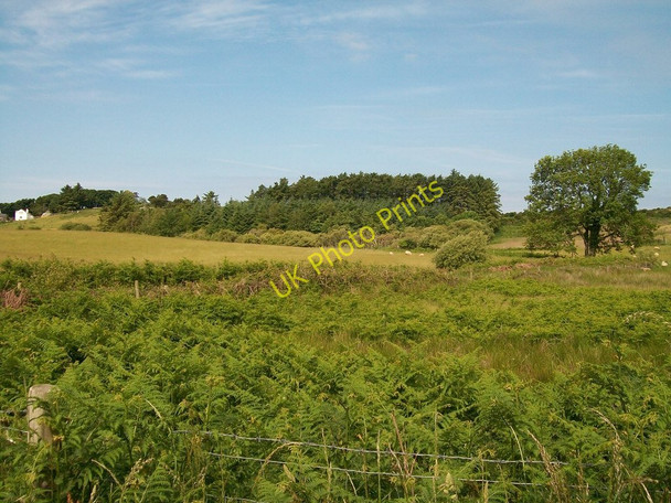 Photo 6"x4" View across a landscape of woodland and pastures towards Ty Gwyn Edern c2010