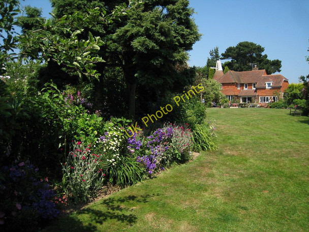 Photo 6"x4" Freezeland Farm Open Garden Bexhill c2010