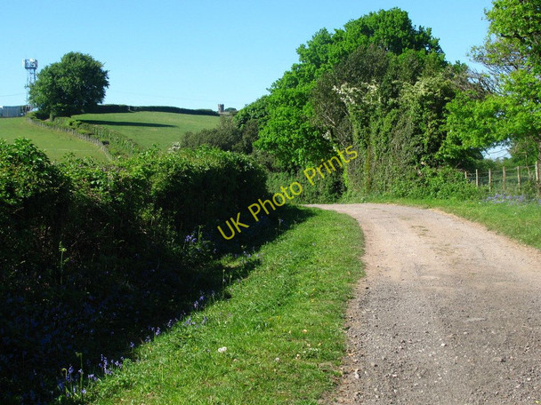 Photo 6"x4" Path to the Folly Pontypool\/Pont-y-pwl c2010