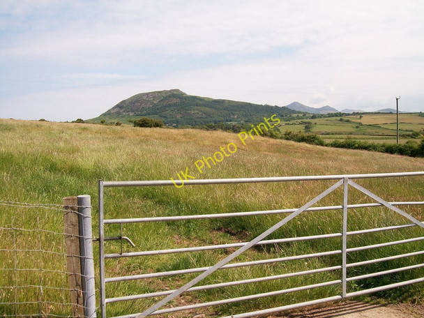 Photo 6"x4" Hay meadow at Mochras Farm Boduan c2010