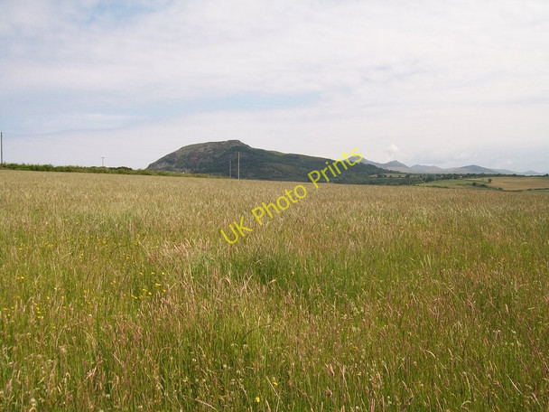Photo 6"x4" Hay meadow at Mochras Garnfadryn c2010