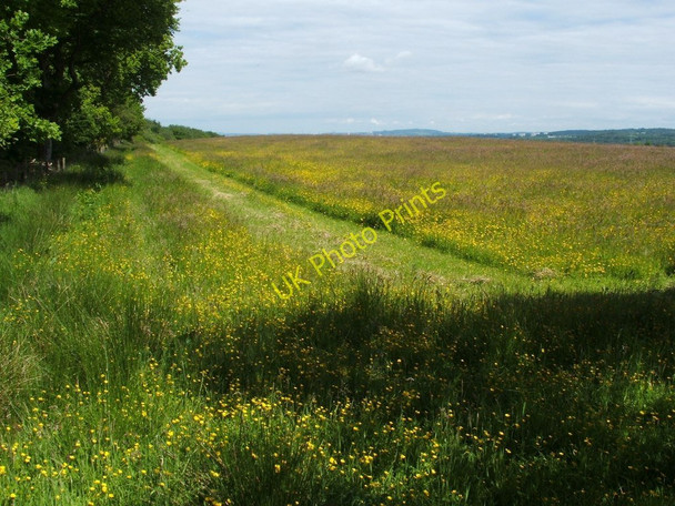 Photo 6"x4" Field beside Chacefield Wood Denny c2010