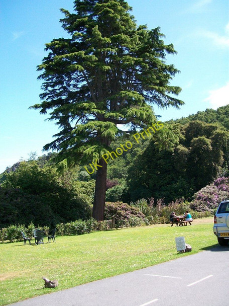 Photo 6"x4" The front lawn of Plas Glyn y Weddw Llanbedrog c2010