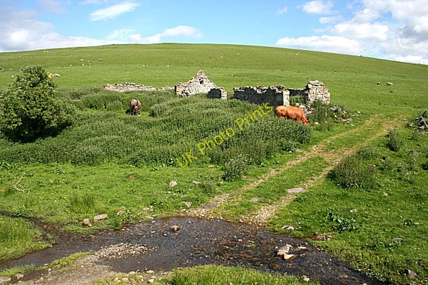 Photo 6"x4" Ford at Belnoe Clashnoir c2010